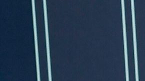 Nicola Peltz Nelson Beckham