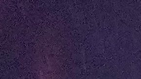 A California Highway Patrol vehicle is parked along a road during a snow storm Wednesday, Feb. 18, 2026, in Placer County, Calif. (AP Photo/Godofredo A. Vásquez)