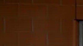 Funcionarios de Aduanas y Protección Fronteriza de Estados Unidos incautaron 516,76 libras de presunta cocaína ocultas en un camión que transportaba flores frescas hacia Laredo, Texas.