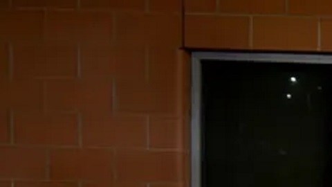 Funcionarios de Aduanas y Protección Fronteriza de Estados Unidos incautaron 516,76 libras de presunta cocaína ocultas en un camión que transportaba flores frescas hacia Laredo, Texas.