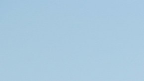 "Lobo, morir matando" llegó a Telemundo.