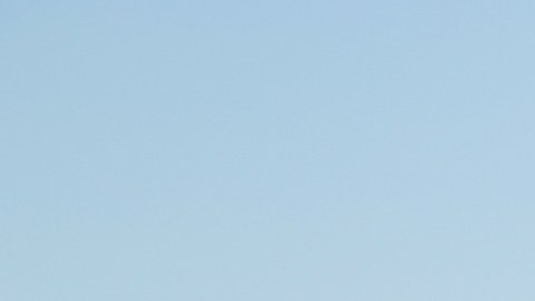 "Lobo, morir matando" llegó a Telemundo.