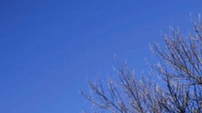 Edificio del Capitolio en Rhode Island