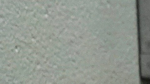 Centro de detención