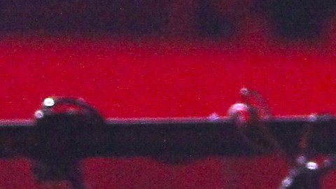 Christian Nodal da un adelanto de 'Incompatibles' y despierta la intriga entre sus seguidores