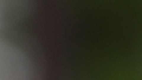 Police tape cordons off an area outside Pennsylvania governor's official residence in Harrisburg, Pa., Monday, April 14, 2025. (AP Photo/Matt Rourke)