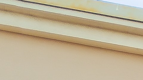 Costco sorprende con nueva colaboración con Nike para zapatillas