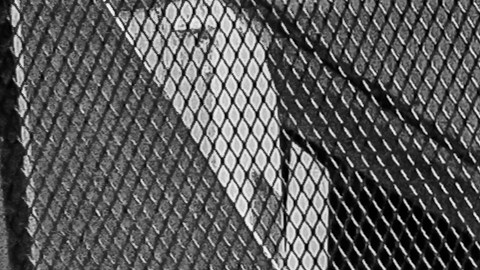 Los integrantes de De Nalgas también celebran diez años de la edición de 'Vulgar Dulce Hogar'.