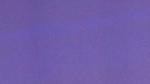 Daddy Yankee Jesaaelys