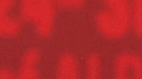 Nicaragua exige de nuevo visa a ciudadanos cubanos.