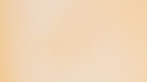 Deducción de impuestos a las propinas