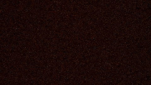 Denver ordena a su policía proteger a manifestantes y frenar abusos de ICE en operativos