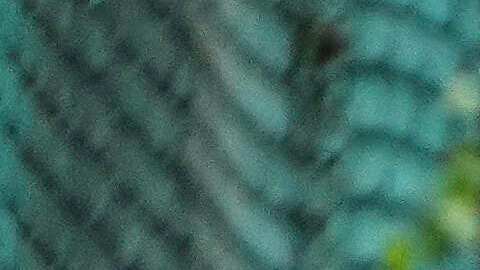 Al menos diez personas murieron tras tiroteo en una escuela al oeste de Canadá