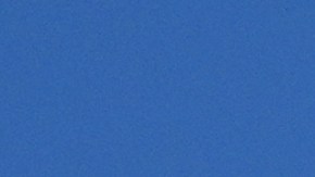 Donald Trump anuncia visita oficial a Venezuela.