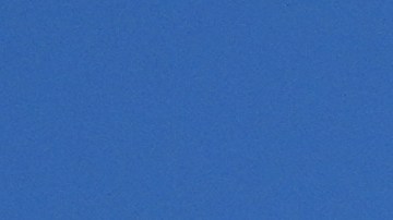 Donald Trump anuncia visita oficial a Venezuela.