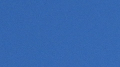 Donald Trump anuncia visita oficial a Venezuela.