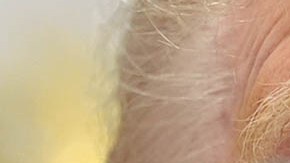 Donald Trump, presidente estadounidense