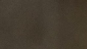 Donald Trump y Claudia Sheinbaum