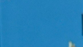 Dua Lipa y Callum Turner