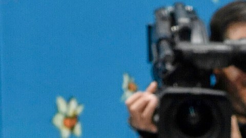 Dua Lipa y Callum Turner