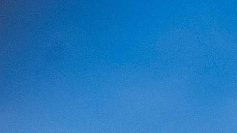 EE.UU. registra aumento del 300% en ingresos por aranceles