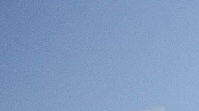 “Efecto Trump” afecta turismo hacia EE.UU. y viajeros buscarían alternativas para verano