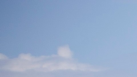 “Efecto Trump” afecta turismo hacia EE.UU. y viajeros buscarían alternativas para verano