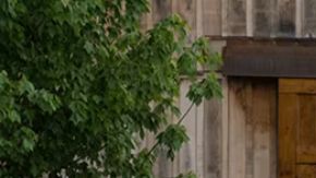 El Lexus ES 2019, una gran opción para este 2026