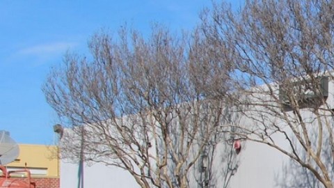 El Monte es una ciudad de mayoría latina.