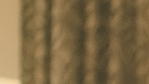 El alto costo de vivir solo: ¿Por qué los solteros pagan más impuestos?