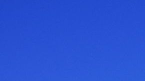 El blanco volverá a dominar parte del hemiciclo cuando el presidente Donald Trump pronuncie su Discurso del Estado de la Unión.