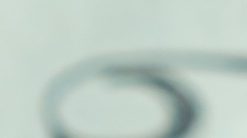 El dólar cae a su nivel más bajo en 4 años ¿Cómo afectará al envío de remesas?