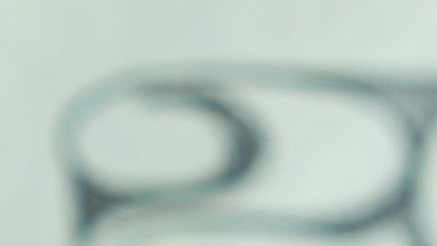 El dólar cae a su nivel más bajo en 4 años ¿Cómo afectará al envío de remesas?