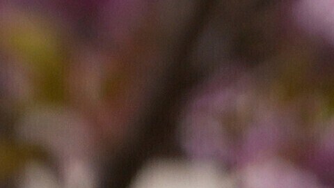 Fuentes afirman que Netflix planea revivir 'The Crown' para una serie sobre el escándalo del expríncipe Andrés