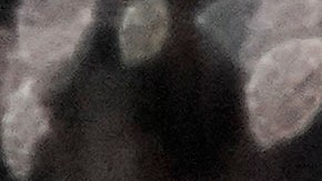 ‘The Kelly Clarkson Show’ anuncia su final tras siete temporadas