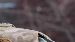 Entrenamiento de ICE es “deficiente” y “defectuoso”, porque Trump redujo cursos de formación: exinstructor