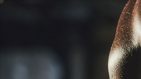 Estrategias efectivas para aumentar masa muscular rápidamente