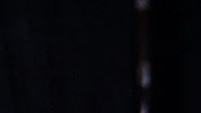 "EPiC: Elvis Presley in Concert".