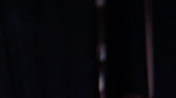 "EPiC: Elvis Presley in Concert".