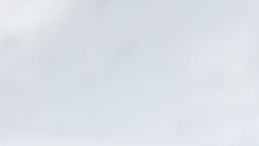 Search and Rescue crews prepare as the search for a group of missing skiers continue on Friday, Feb. 20, 2026, in Truckee, Calif. (AP Photo/Godofredo A. Vásquez)