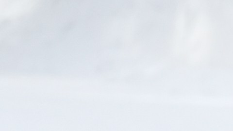 Search and Rescue crews prepare as the search for a group of missing skiers continue on Friday, Feb. 20, 2026, in Truckee, Calif. (AP Photo/Godofredo A. Vásquez)