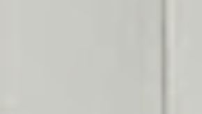 Tommy y Elly Aparicio se casaron durante el espectáculo.