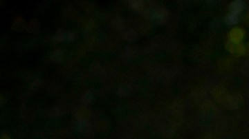 Angelique Boyer fue la protagonista de "Doménica Montero".