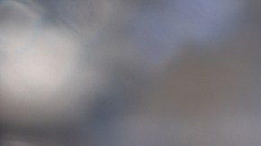 Gigante vitivinícola de Napa Valley anuncia cierre de instalaciones y se une a la ola de despidos en EE.UU.