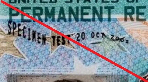 Millones de estadounidenses están casados con personas sin una Green Card.