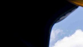 la embarcación “operaba desafiando la cuarentena establecida por el presidente Donald Trump