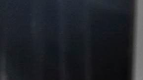 Hermanos de Renee Good denuncian brutalidad de agentes de ICE al matarla a tiros en Minneapolis