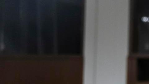 Hermanos de Renee Good denuncian brutalidad de agentes de ICE al matarla a tiros en Minneapolis