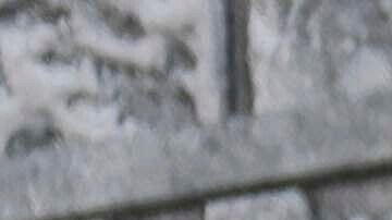 Ha salido a la luz el primer vistazo de la tercera temporada de "House of the Dragon".