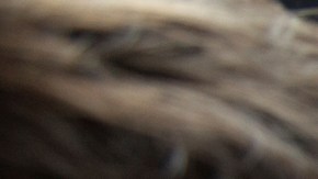 IA amenaza ingresos de músicos, cineastas y otros artistas; perderían hasta el 24% para 2028: UNESCO